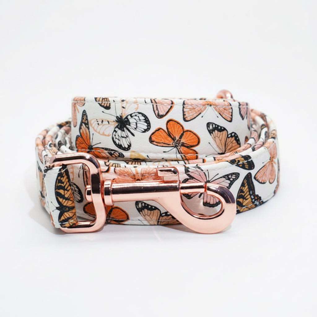 Butterfly Garden Collar & Leash Set - Mona & Milo