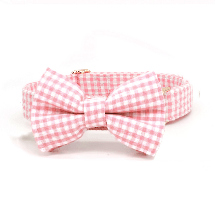 Pretty in Picnic Collar & Leash Set - Mona & Milo