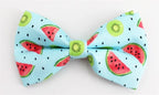 Watermelon Splash Collar & Leash Set - Mona & Milo