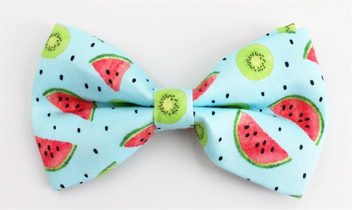 Watermelon Splash Collar & Leash Set - Mona & Milo
