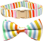 Happy Stripes Collar & Leash Set - Mona & Milo