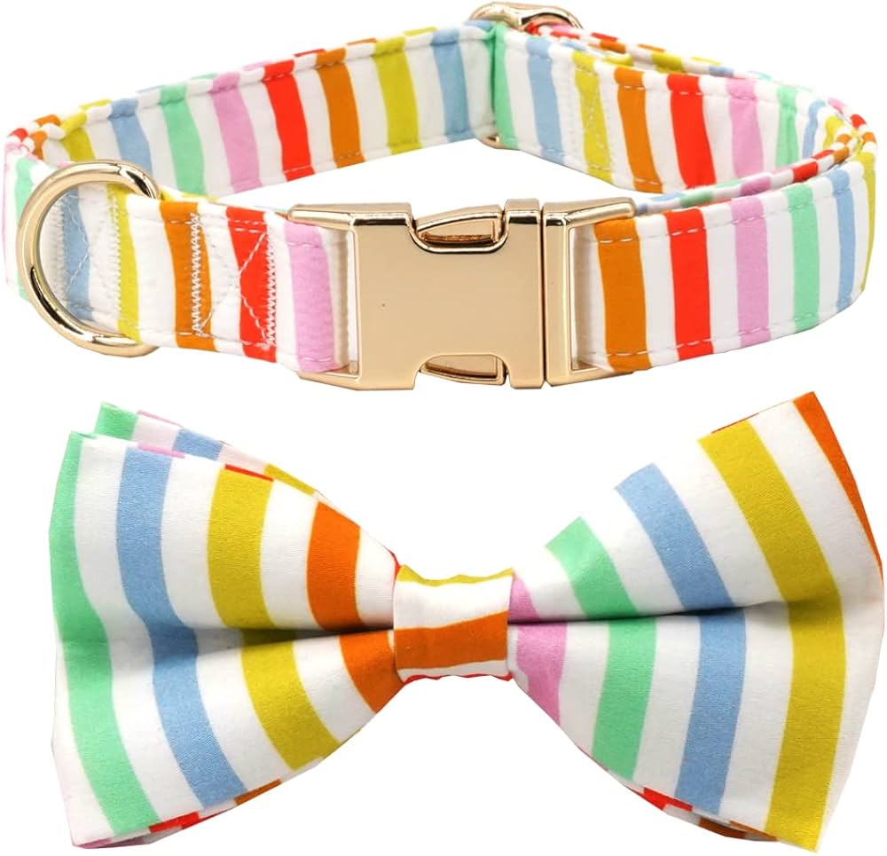 Happy Stripes Collar & Leash Set - Mona & Milo