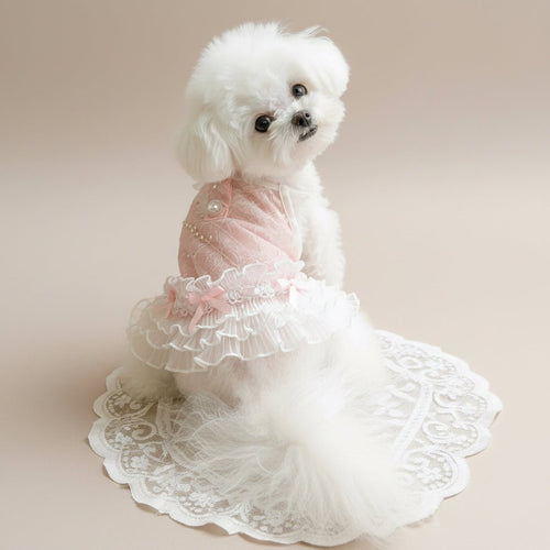 Mona & Milo Bella Lace Dress featuring intricate lace fabric and a stylish fit, perfect for elegant occasions.