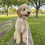Dreamy Peach Full Walk Set - Dreamy Peach Full Walk SetDog HarnessMona & Milo