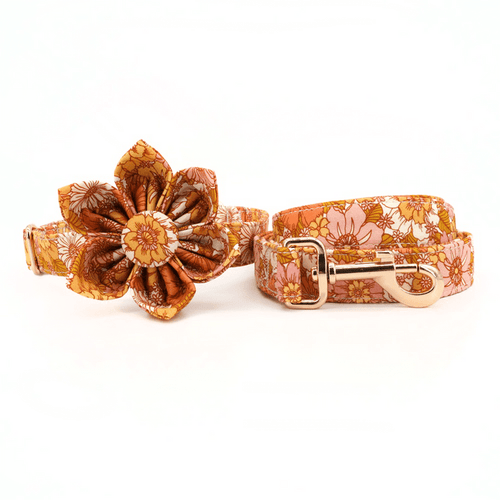 Amber Meadow Collar & Leash Set - Mona & Milo