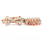 Peach Bellini collar and leash set for dogs by Mona & Milo, featuring a stylish peach-colored design