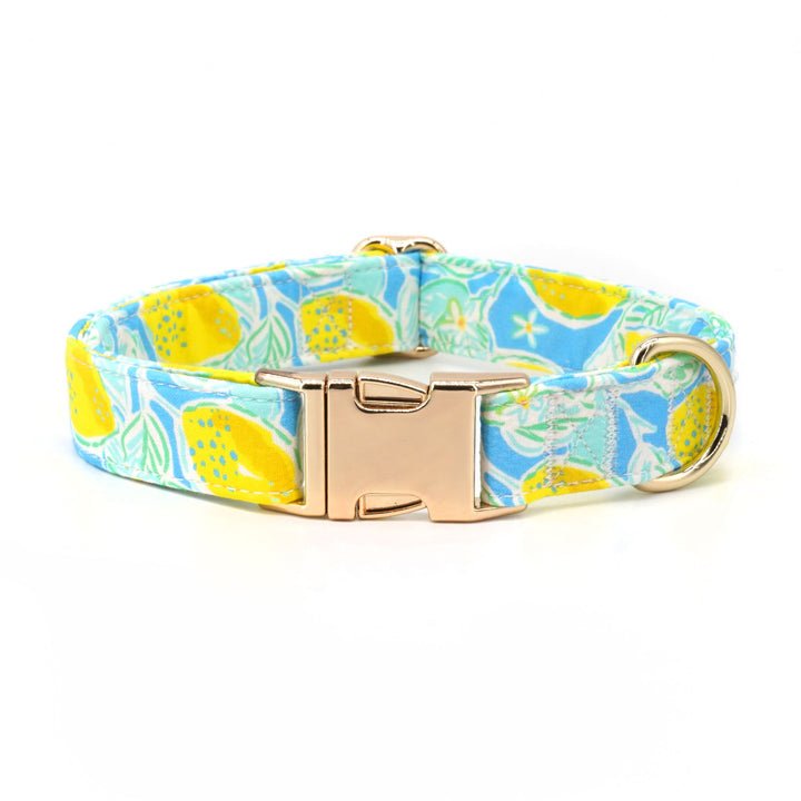 Lemon Drop Collar & Leash Set - Mona & Milo