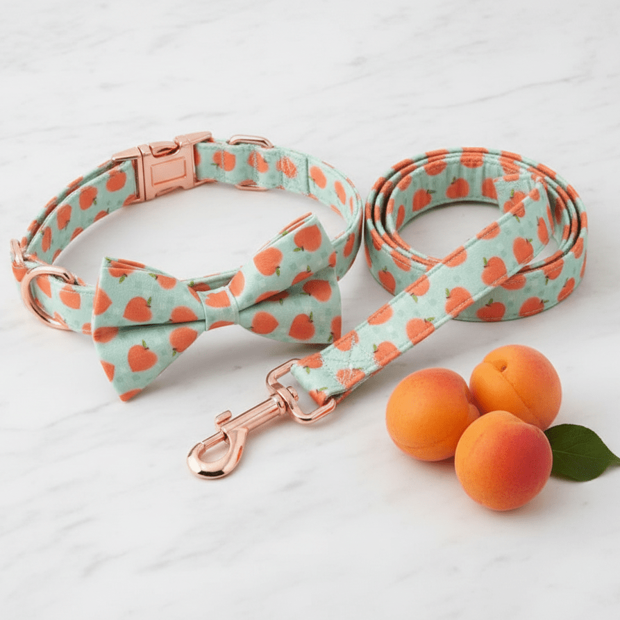 Peach Bellini collar and leash set for dogs from Mona & Milo, featuring a stylish peach-colored design and adjustable fit.