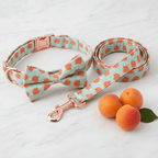 Peach Bellini collar and leash set for dogs from Mona & Milo, featuring a stylish peach-colored design and adjustable fit.