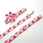 Mona & Milo Berry Belle dog collar and leash set with pink and floral design, adjustable collar and matching leash
