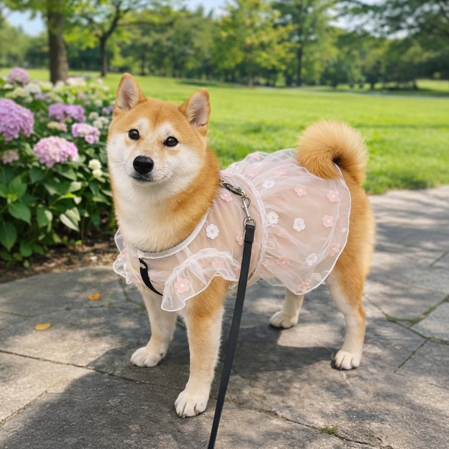 Mona & Milo Daisy Sheer Dress featuring a flowy, lightweight fabric with a floral daisy pattern and elegant design.