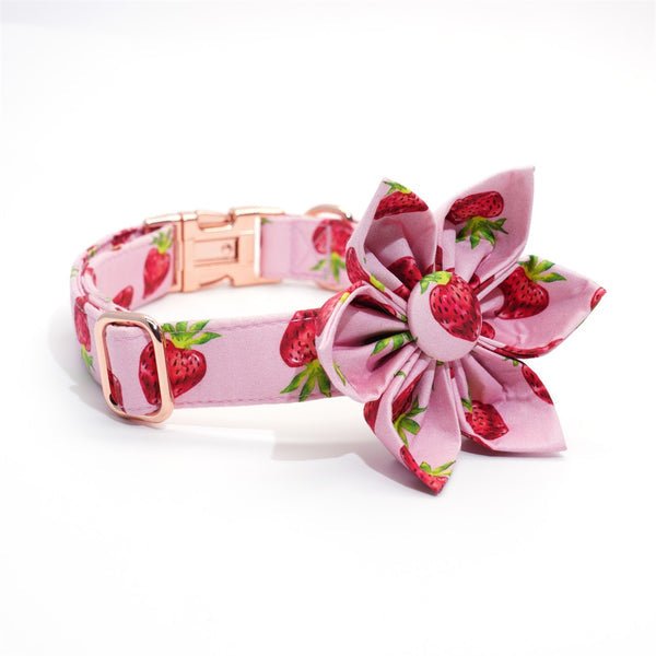 Mona & Milo Berry Belle dog collar and leash set with colorful floral pattern on durable fabric,
