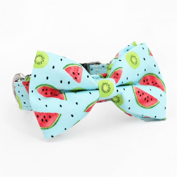 Watermelon Splash Collar & Leash Set - Mona & Milo