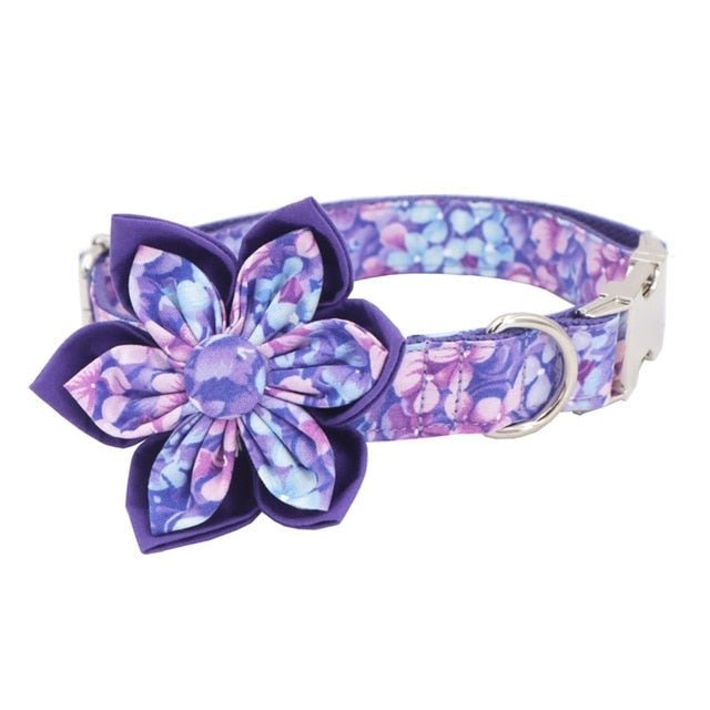 Purple Rain Collar & Leash Set - Mona & Milo