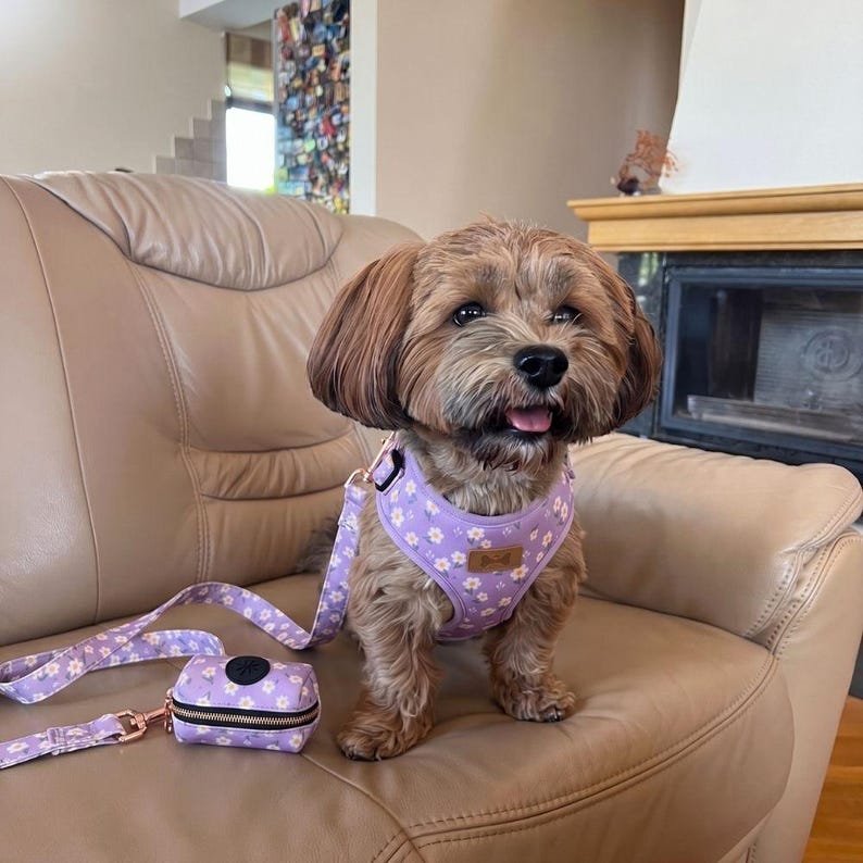 Lavender Fields Full Walk Set - Mona & Milo Dog Harness