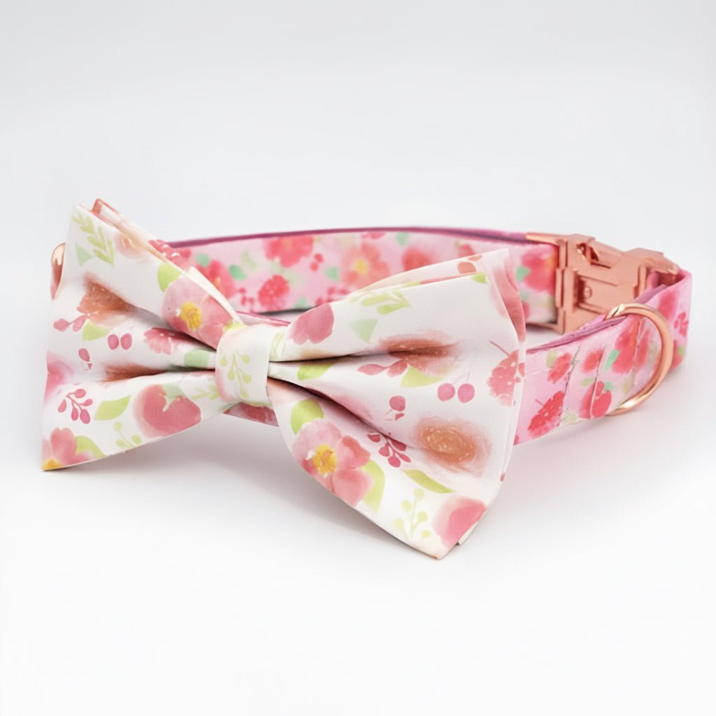 Forever Yours Harness Full Walk Set - Mona & Milo Dog Harness