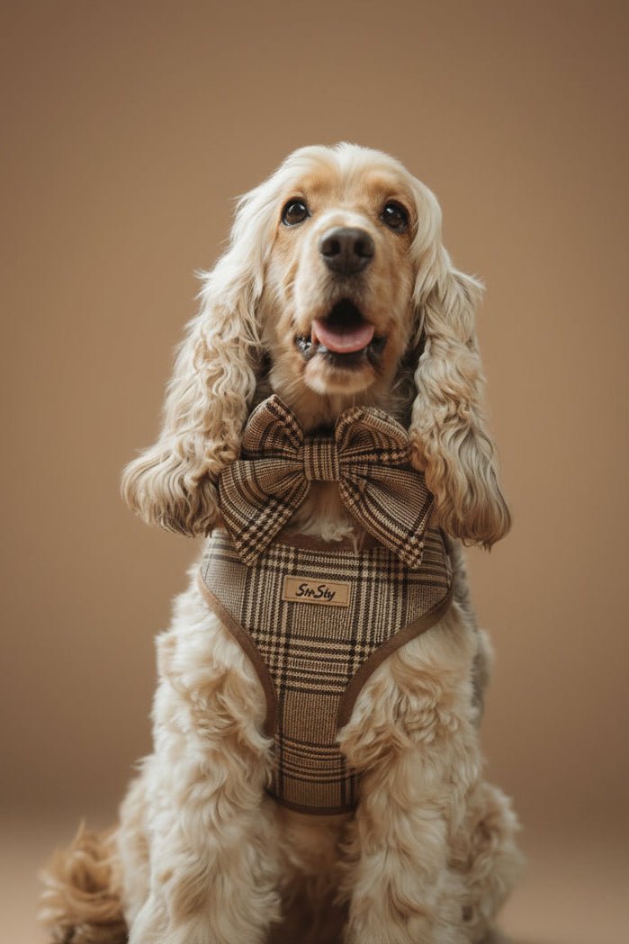 Émile Harness, Collar, Leash, Bow & Poop Bag Holder Set