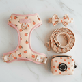 Dreamy Peach Full Walk Set - Dreamy Peach Full Walk SetDog HarnessMona & Milo