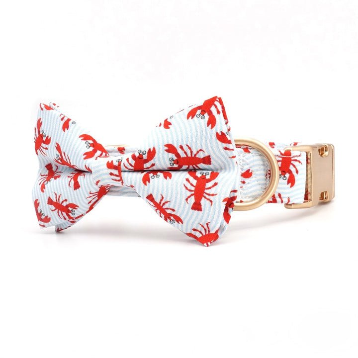 Claw-some Collar & Leash Set - Mona & Milo