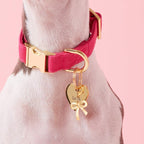 Kira Fuchsia Collar & Leash Set