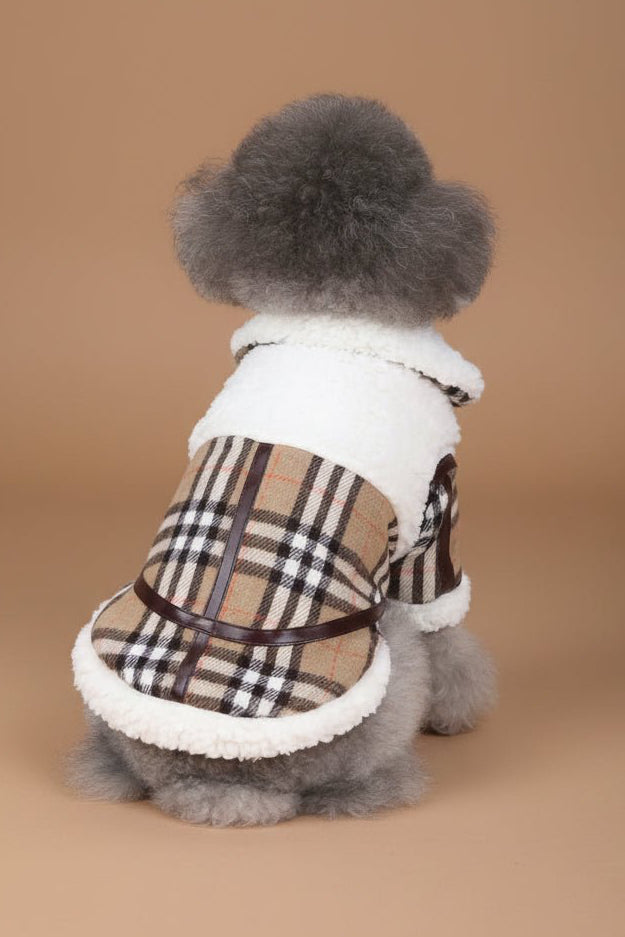 Théodore Dog Coat