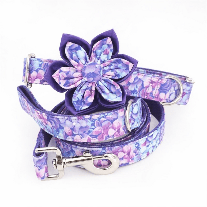 Purple Rain Collar & Leash Set - Mona & Milo
