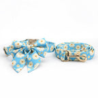 Mona & Milo Daisy Days dog collar and leash set featuring a floral design on a blue fabric background.