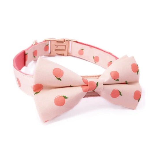 Dreamy Peach Full Walk Set - Dreamy Peach Full Walk SetDog HarnessMona & Milo