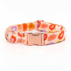 Mona & Milo Sundance dog collar and leash set with stylish design, adjustable collar, and matching leash for pets.