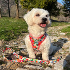 Floral-themed adjustable pet harness with bowtie collar for dogs, ideal for weddings and birthdays.
