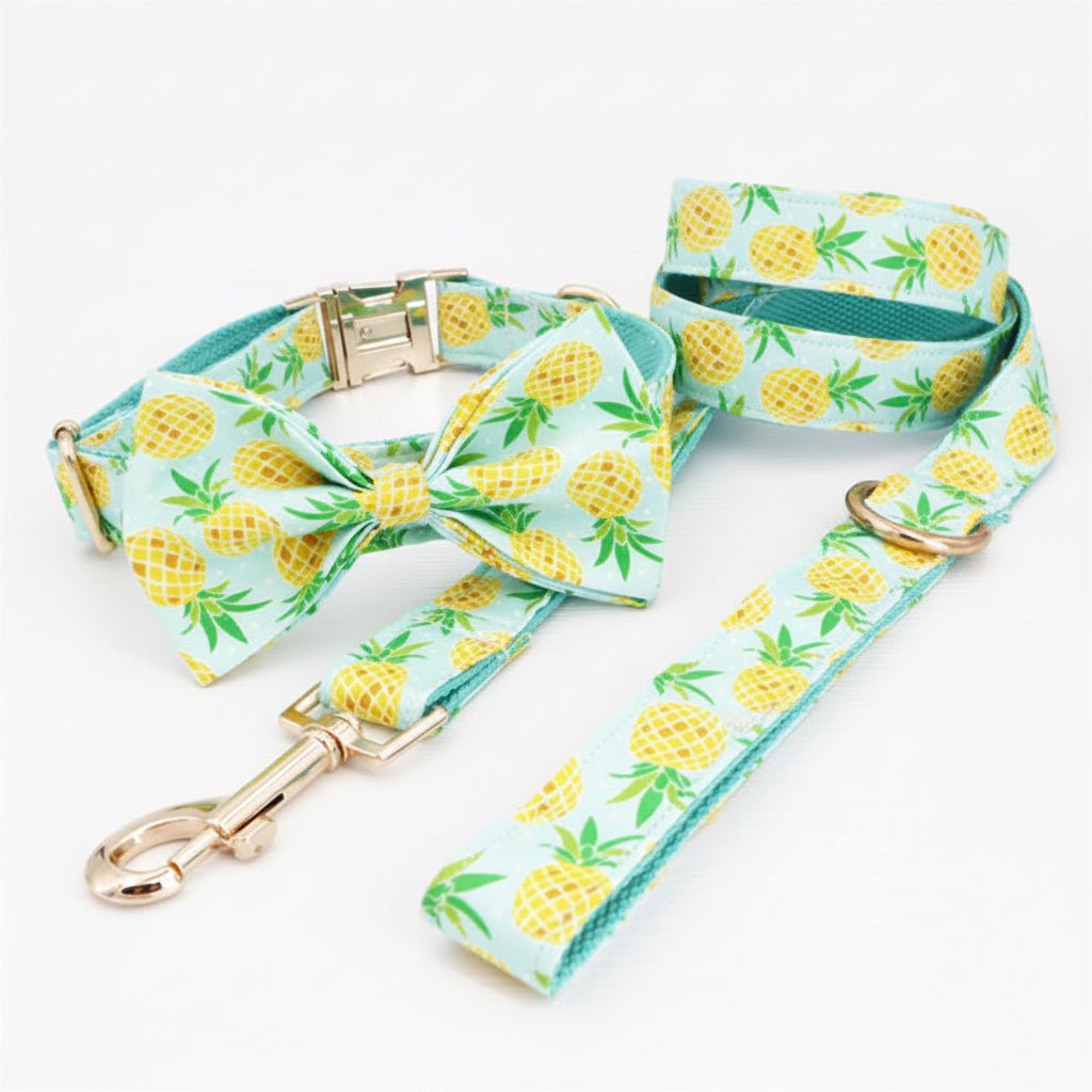 Pineapple Parade Collar & Leash Set - Mona & Milo