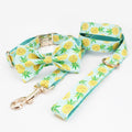 Pineapple Parade Collar & Leash Set - Mona & Milo