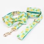 Pineapple Parade Collar & Leash Set - Mona & Milo