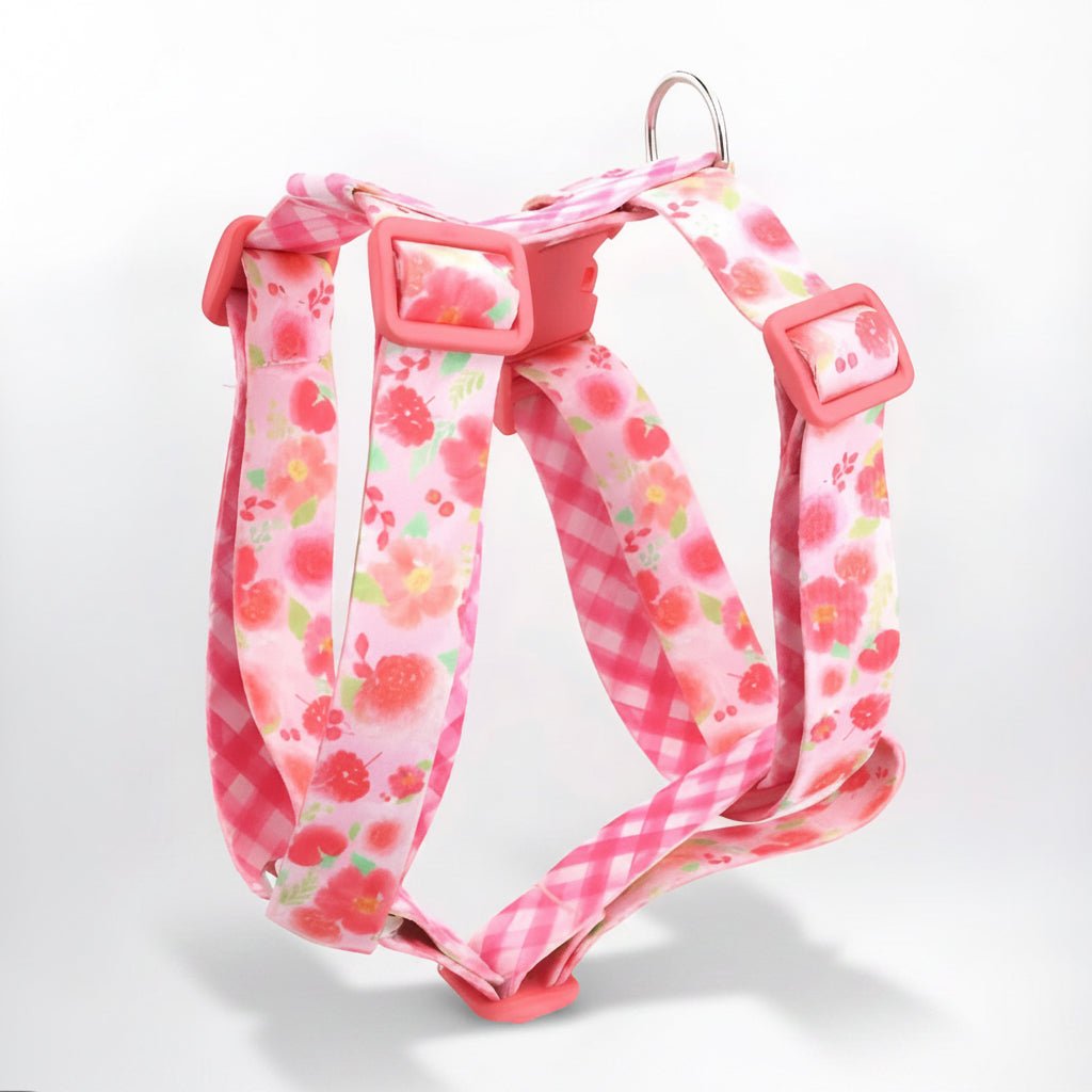Forever Yours Harness Full Walk Set - Mona & Milo Dog Harness