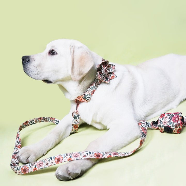 Durable metal buckle dog collar with engraved floral design, fashionable pet collar for small to medium dogs.