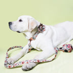 Durable metal buckle dog collar with engraved floral design, fashionable pet collar for small to medium dogs.