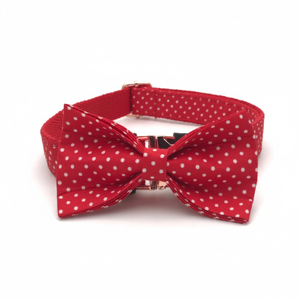 Lady in Red Collar & Leash Set - Mona & Milo