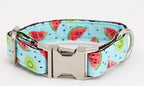 Watermelon Splash Collar & Leash Set - Mona & Milo