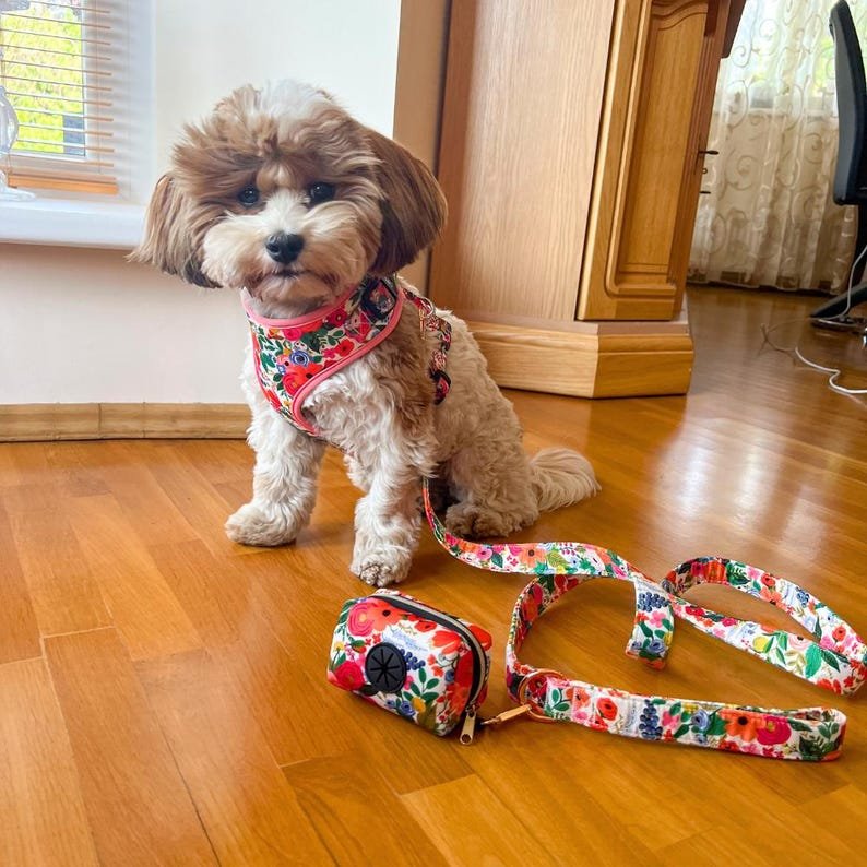 Strawberry pet adjustable harness with bowtie for dogs, suitable for weddings and birthdays, on a colorful background
