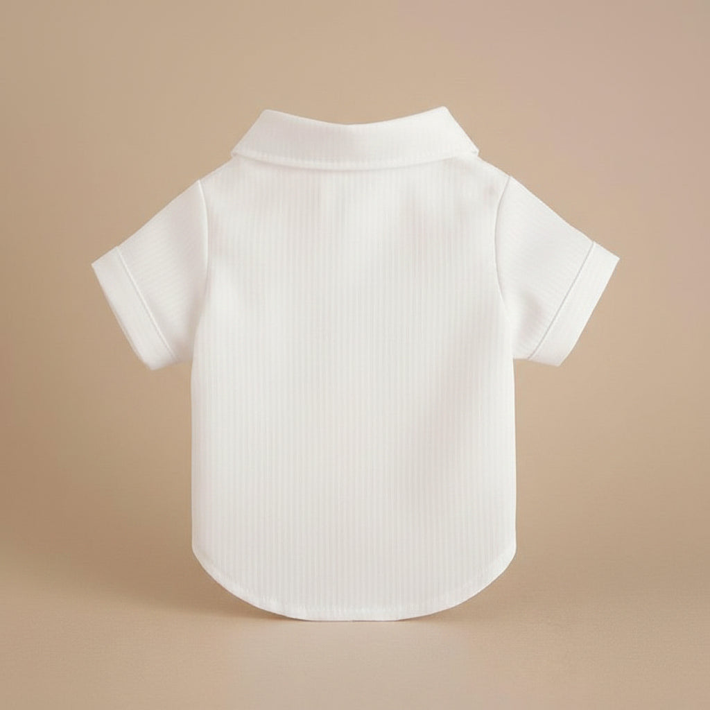 Mona & Milo men's Henley dress shirt in light blue, long sleeve with button collar, laid flat on a neutral background.
