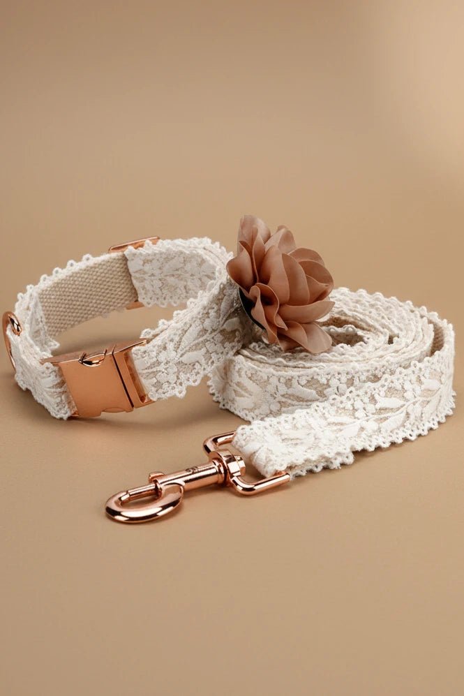 	1.	Fleur de Paris small dog collar and leash set with floral embroidery
	2.	Small dog wearing floral embroidered collar with matching leash
	3.	Romantic floral dog collar and leash set for small dogs
	4.	Boutique dog collar and leash with decorative lace flower
	5.	Elegant floral dog collar and matching leash for everyday walks
