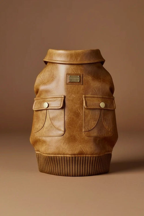 Faux leather dog jacket for small dogs, eco-friendly PU long sleeve winter coat
