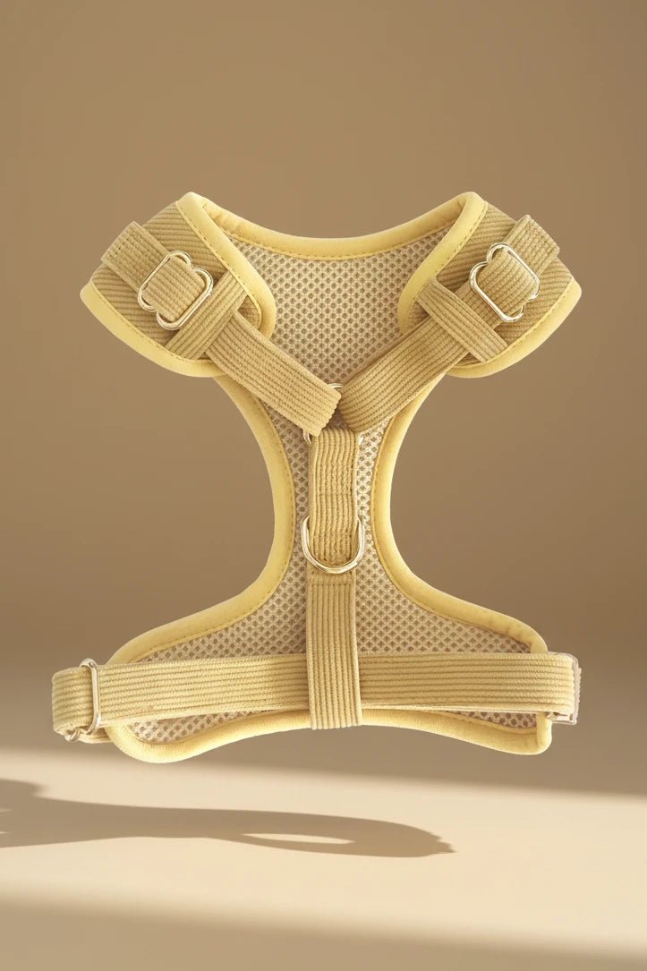 Chihuahua harness set mustard corduroy 4-piece flat lay product
