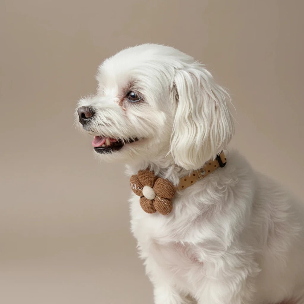 Papillon small dog decorative collar Willow brown flower cloth adorable
