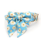 Adjustable breathable dog harness and leash set with collar, bandana, bow tie, and waste bag holder, designed for small pets.