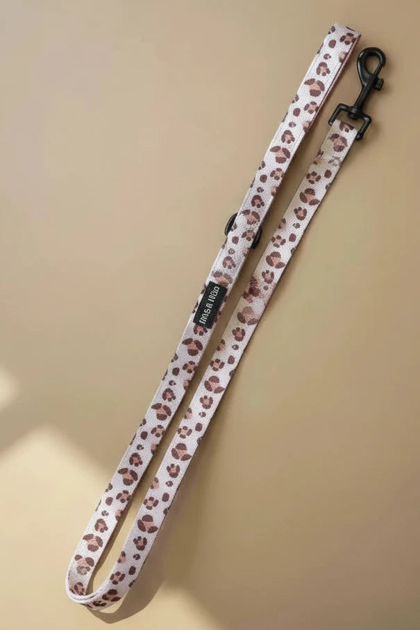 Leopard print dog harness leash set 6-piece accessories complete kit
