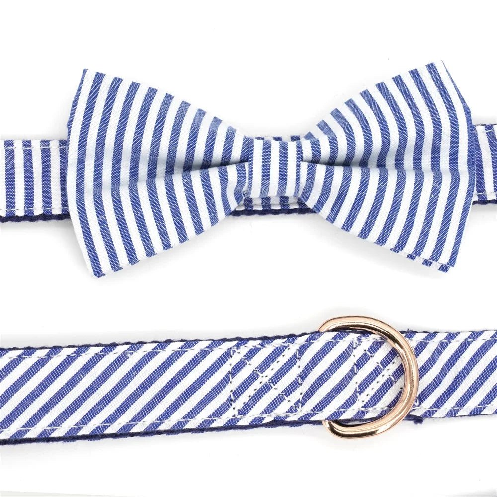 Custom striped matching pet leash and dog bowtie collar for wedding or birthday, featuring vibrant patterns
