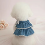 Dog wearing a blue denim dress with white lace trim - Mona & Milo