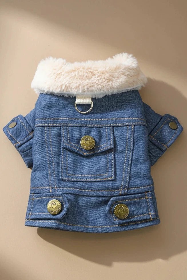 •	“Small dog wearing Bleu Mont Dog Jacket with faux fur collar and back pocket detail”
	•	“Boutique small dog denim jacket with built-in D-Ring and stylish details”
	•	“Bleu Mont Dog Jacket for small dogs, cozy and chic for autumn and winter”