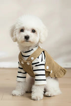 French Bulldog small dog dress Truffle corduroy bear brown cozy
